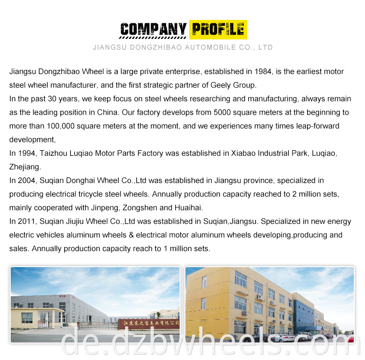 company profile